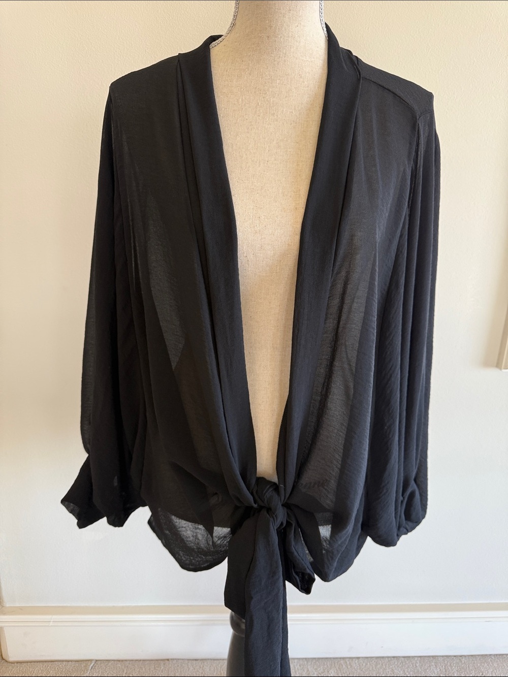 Tie-Front Sheer Black Blouse